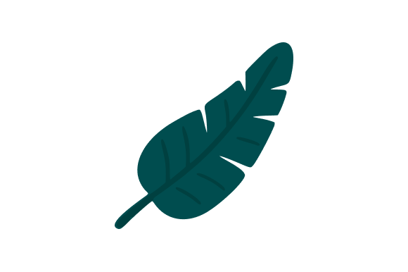Tropical Leaf Cartoon Flat Graphic for Blog and Web Design